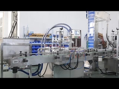 Voll automatische ökonomische 2 Düsen Flüssigkeitsfüllmaschine für Flasche